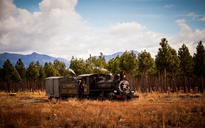 Black Steam Train — Brown