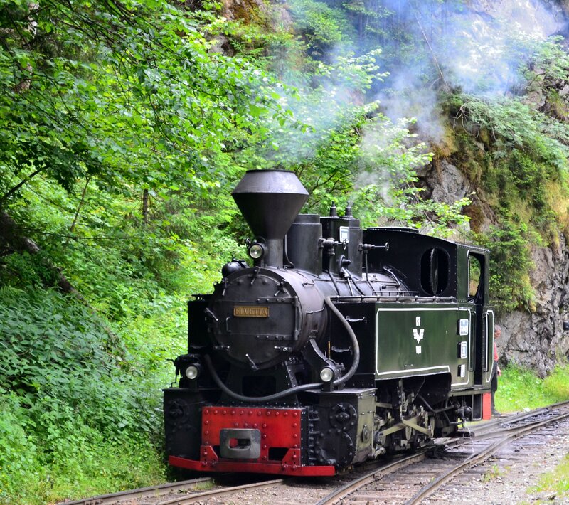 Black Steam Train — Green, Serene