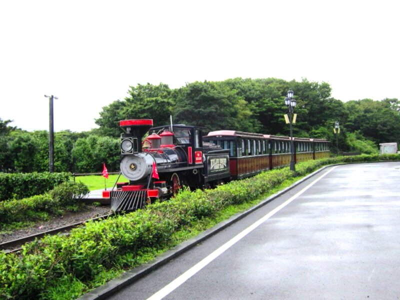 Black Steam Train — Green