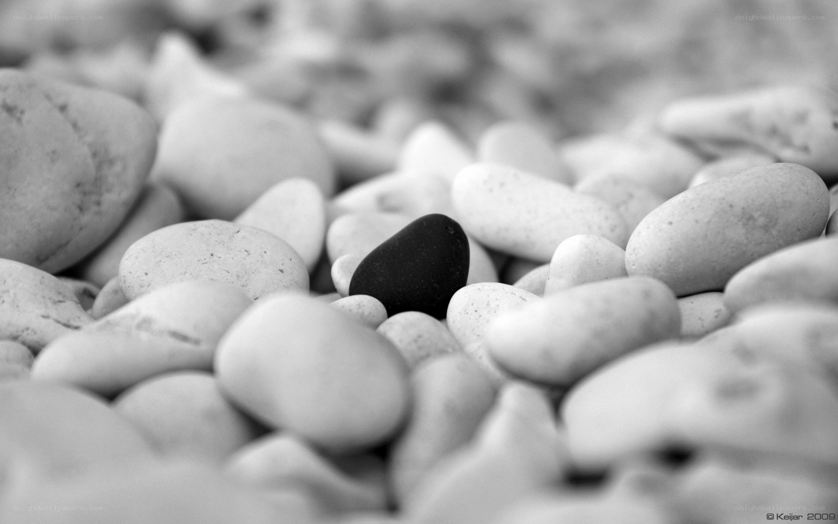 black stone among white pebbles
