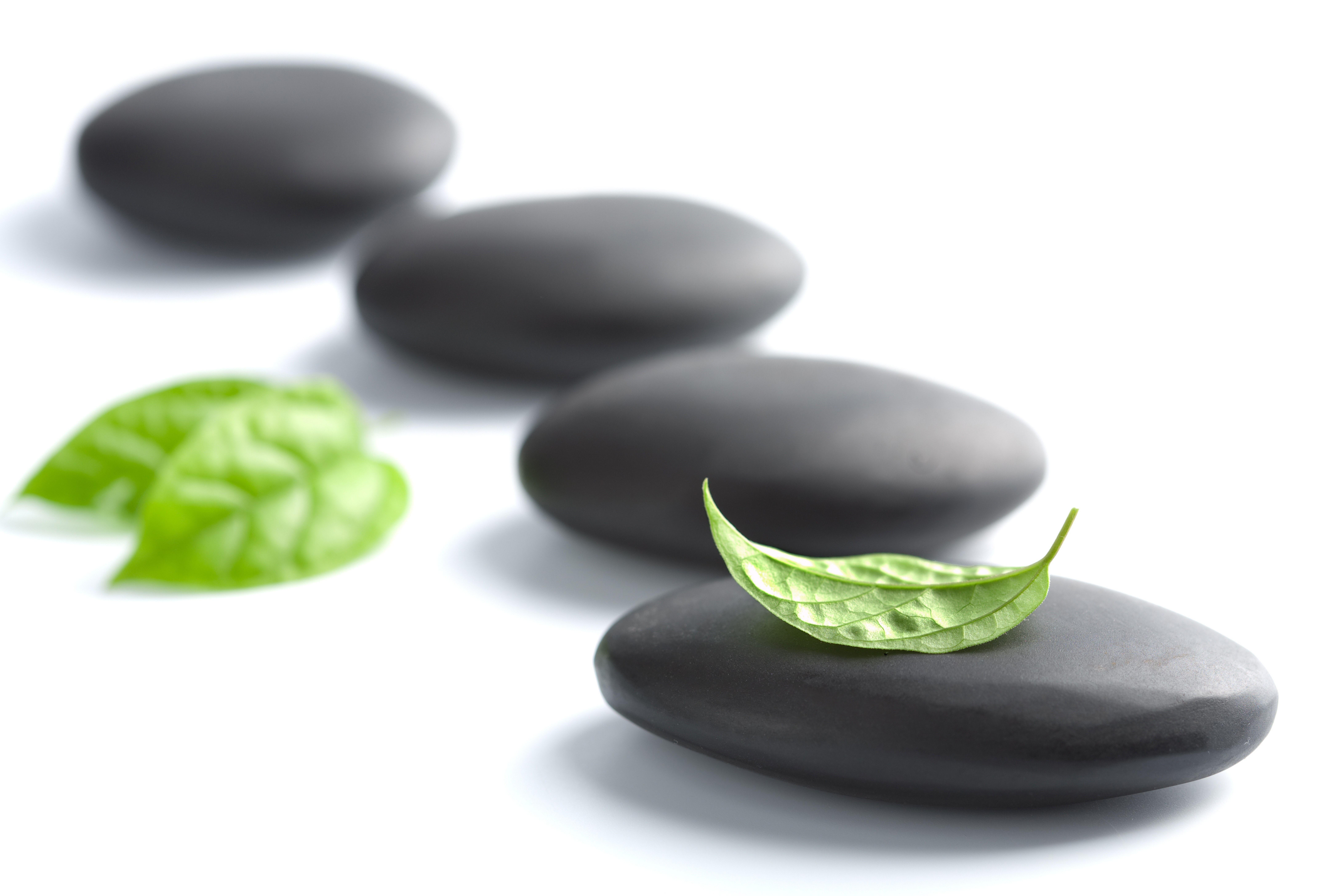 Black stones with green leaves