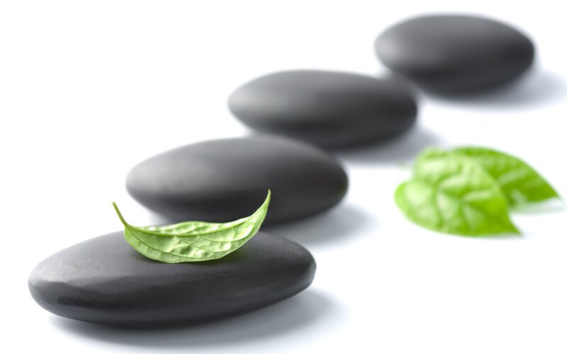 Black Stones with Green Leaves — Serene