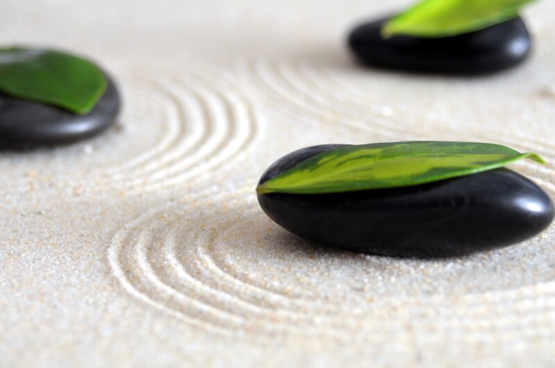 Black Stones with Leaves