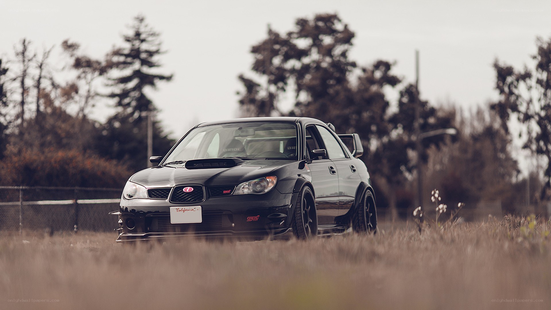 black subaru in a field