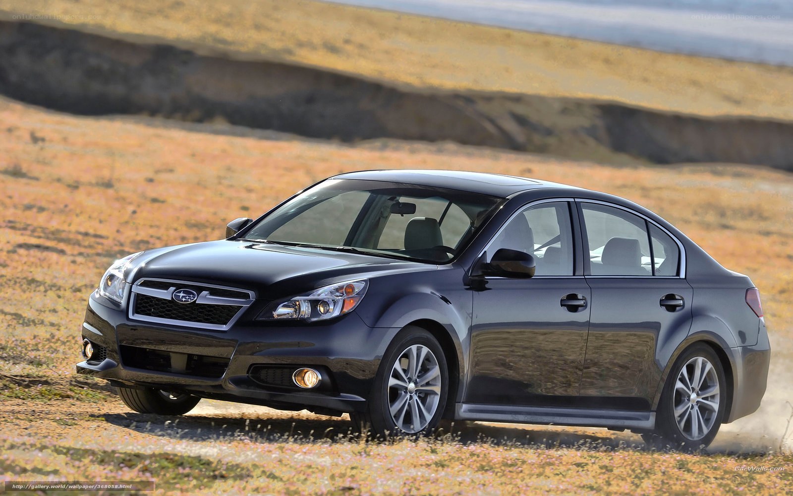 Black Subaru Legacy in field