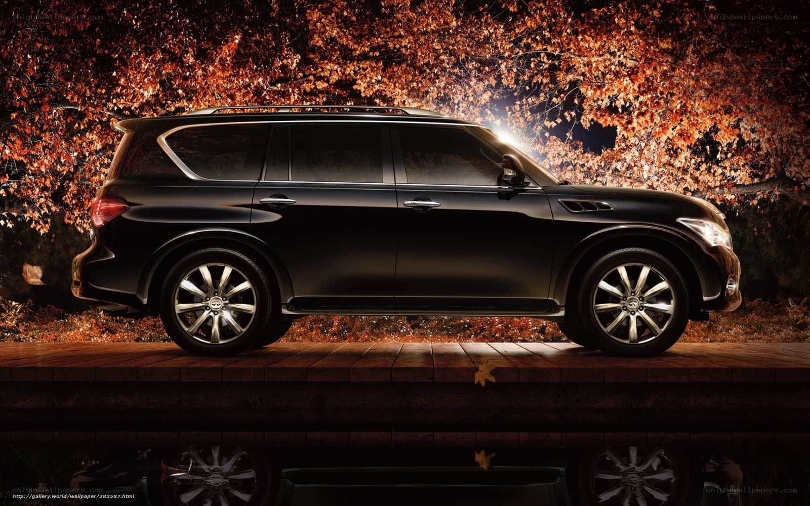 Black SUV in autumn setting