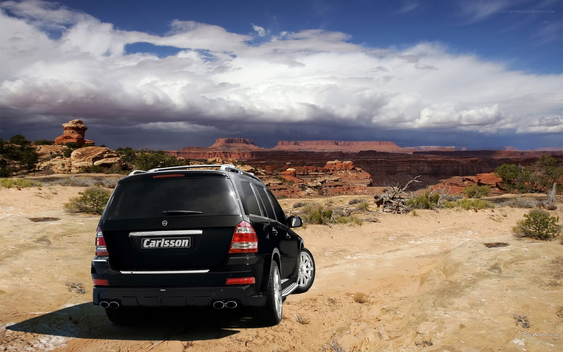 Black SUV in desert landscape
