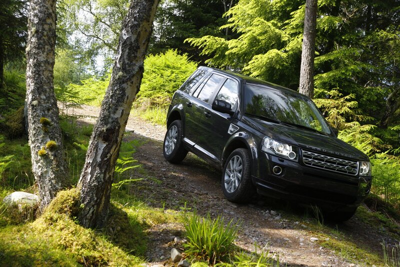 Black SUV in Forest — Green