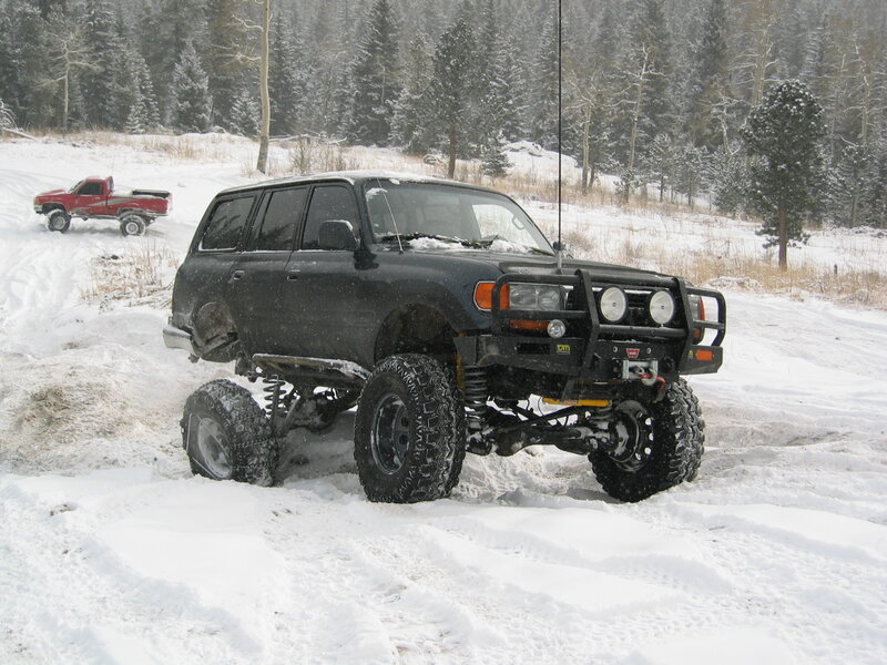 Black SUV in snowy forest