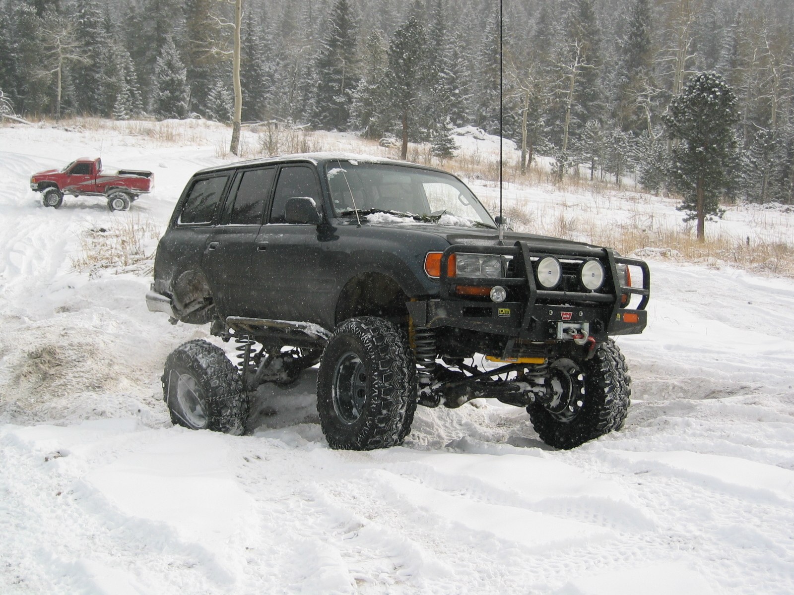 Black SUV in snowy forest