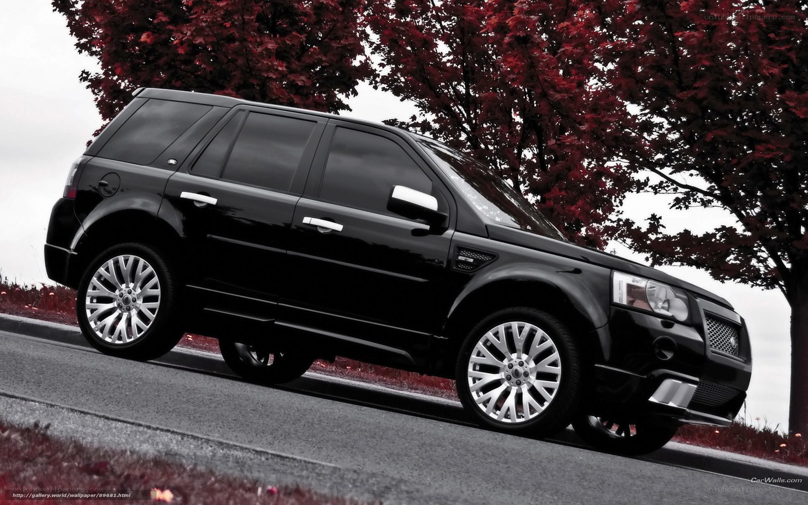 Black SUV on a road