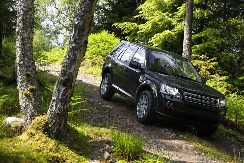 Black SUV on forest trail
