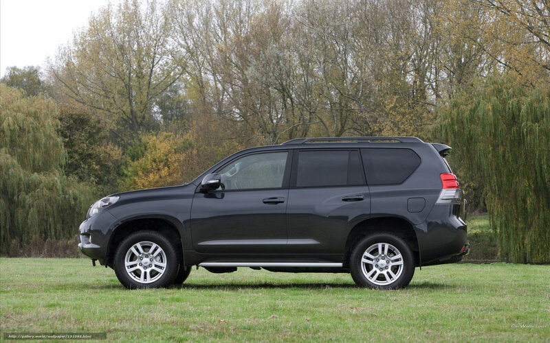 black suv on grass
