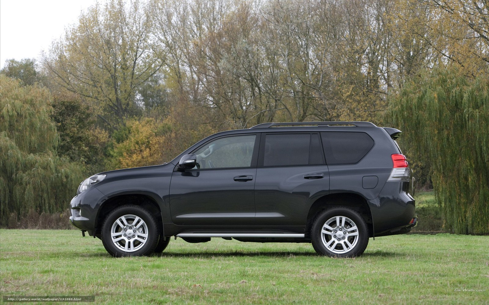 black suv on grass