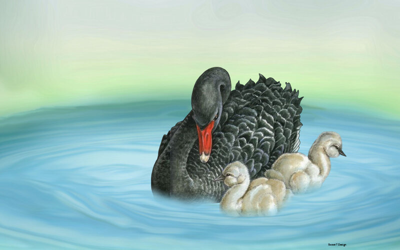 Black Swan with Cygnets — Blue