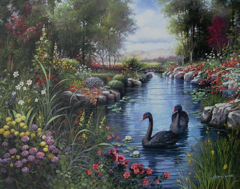 Black Swans in Pond — Blue
