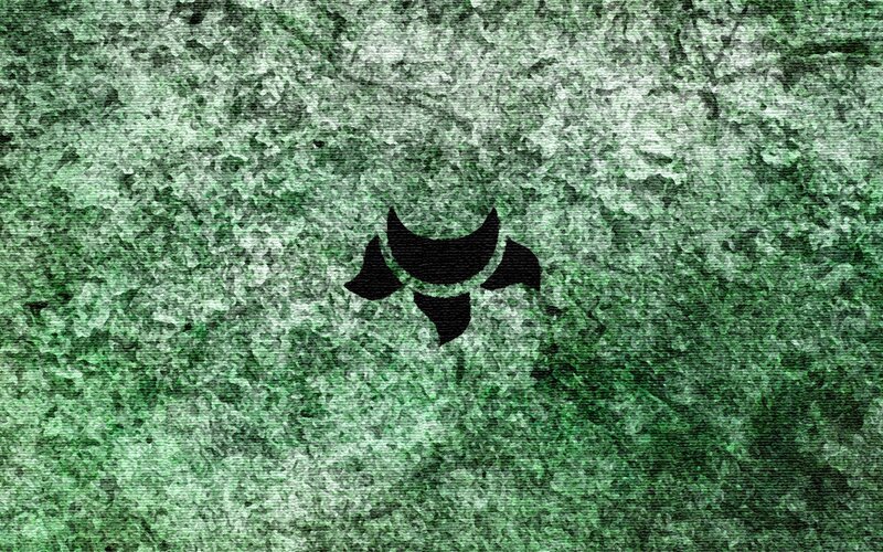 Black Symbol on Green Texture