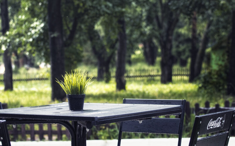 Black Table with Plant