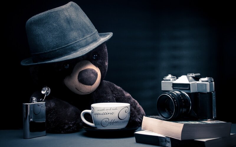 Black Teddy Bear with Hat — Dramatic