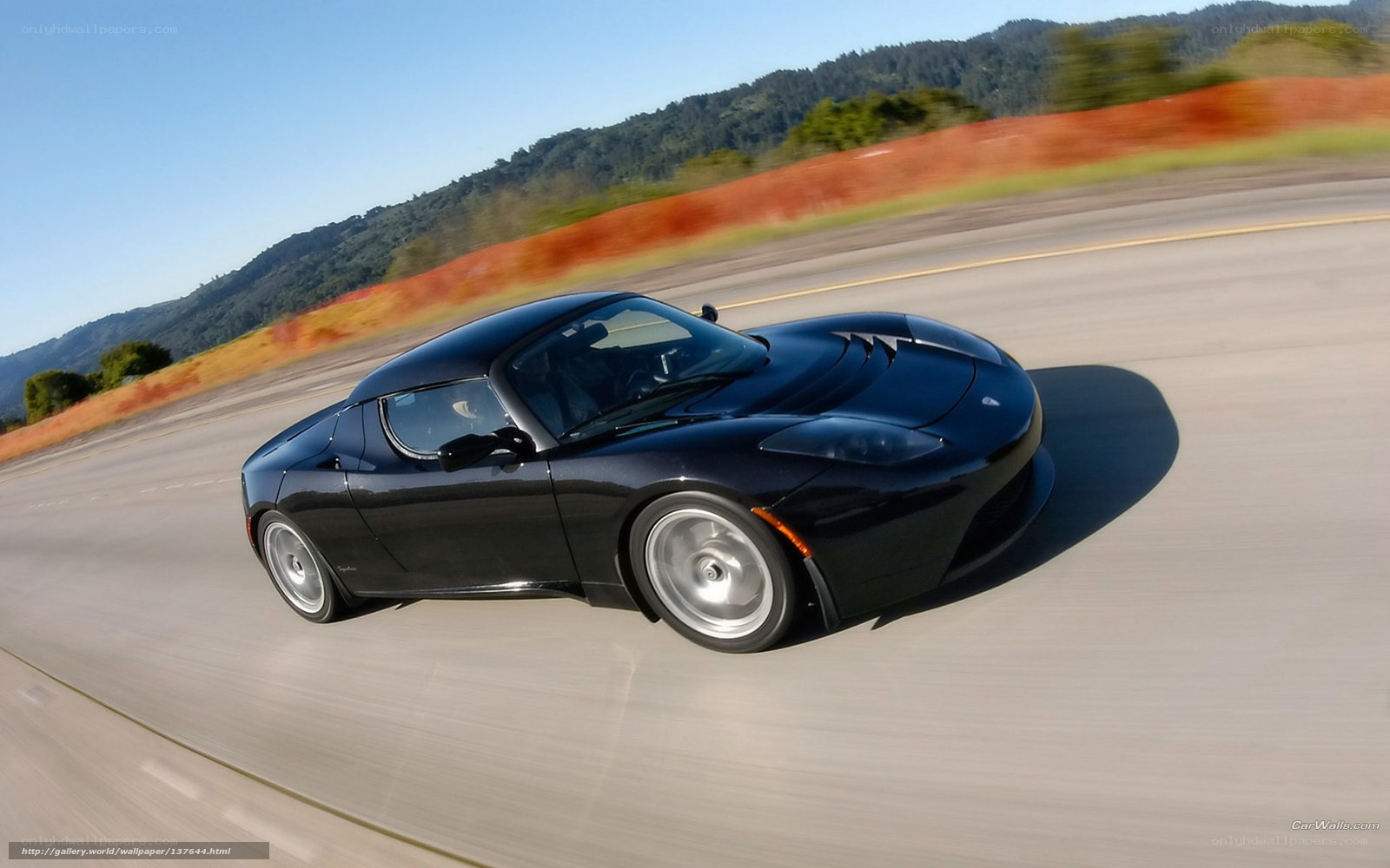 Black Tesla Roadster in motion
