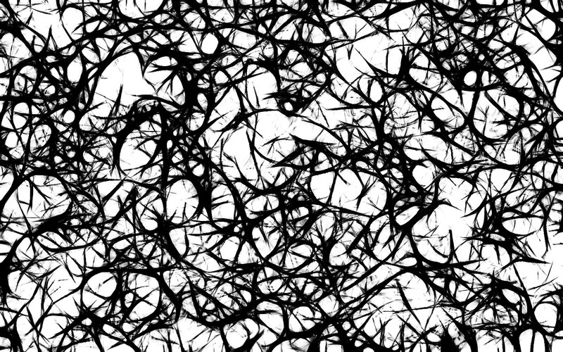 black thorny branches pattern