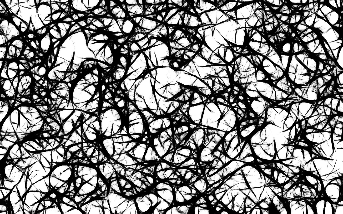 black thorny branches pattern