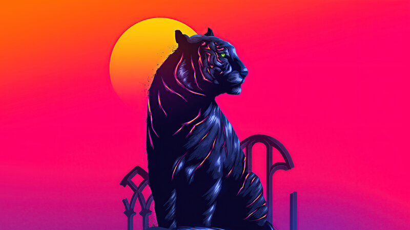 Black Tiger Sitting
