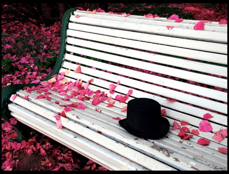 Black Top Hat on Bench