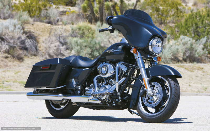 Black Touring Motorcycle — Calm, Afternoon, Photograph, Saddlebags