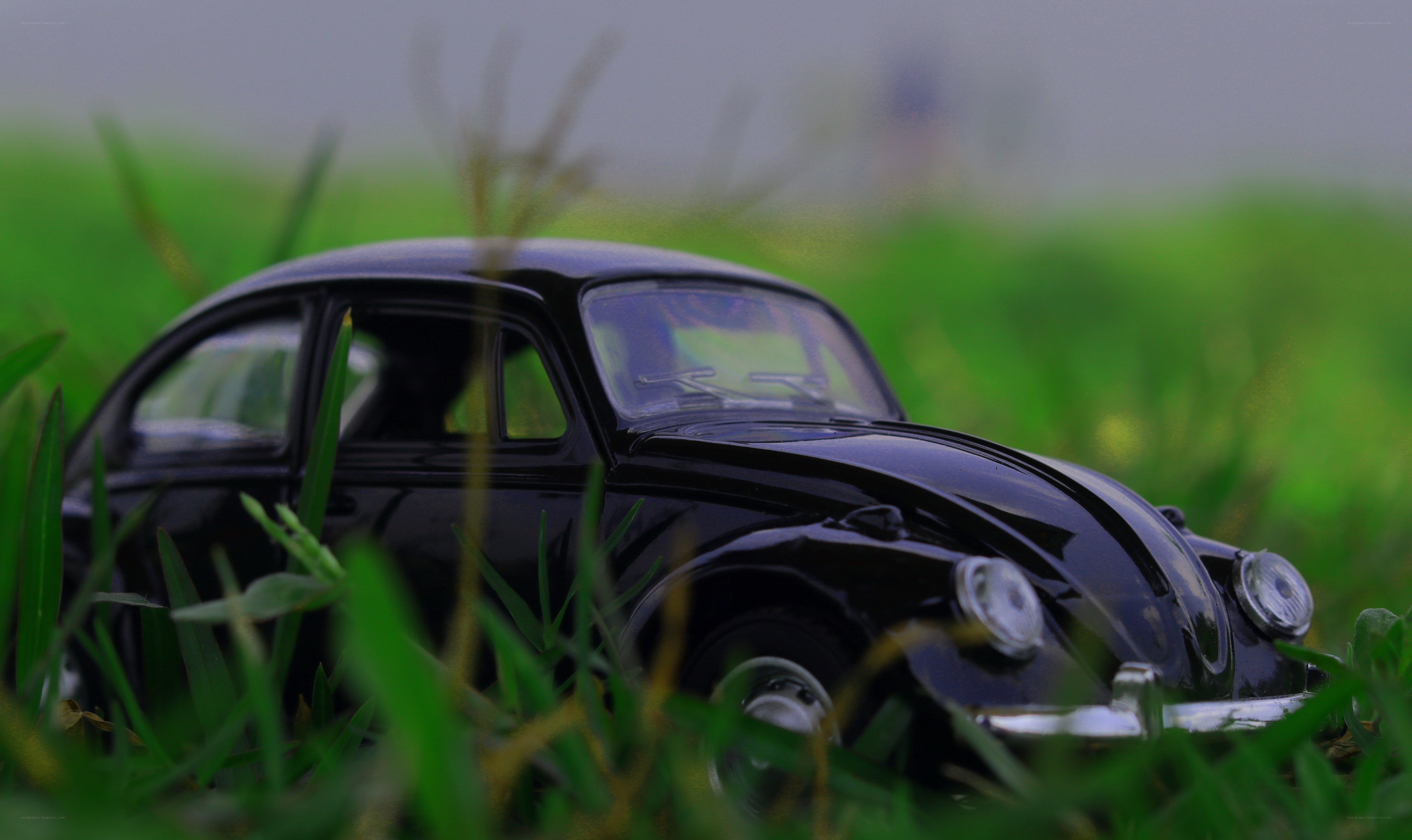 Black toy car in grass