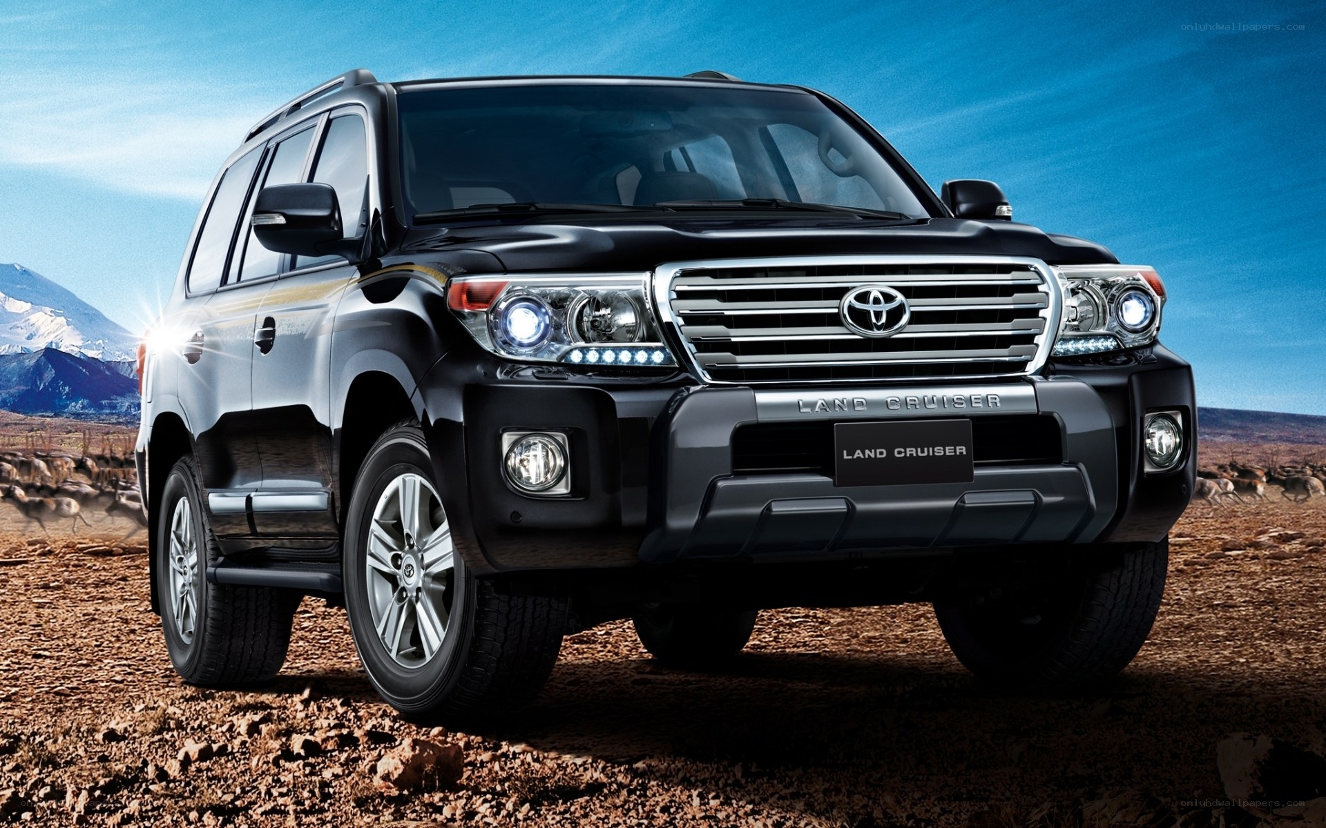Black Toyota Land Cruiser
