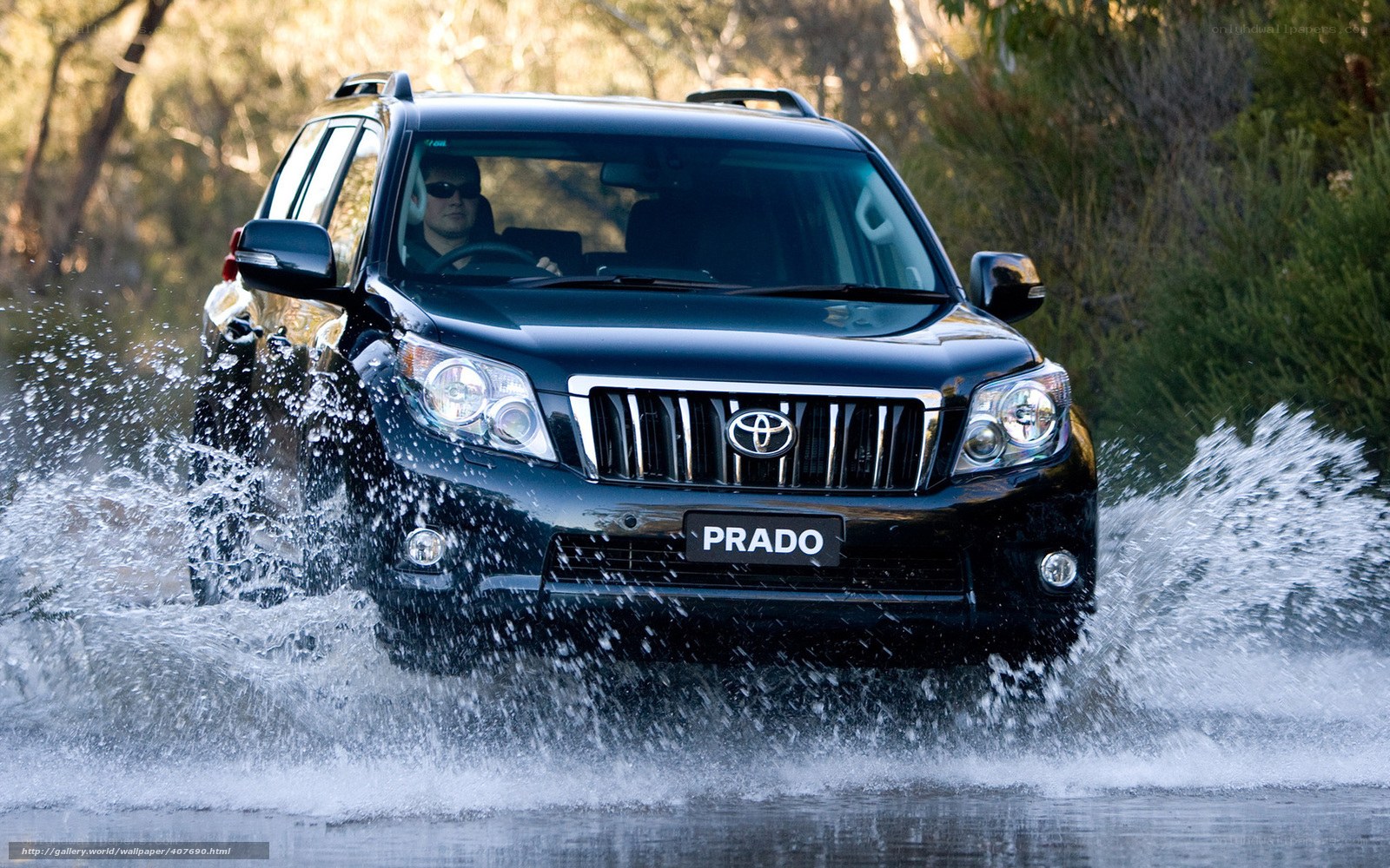 Black Toyota Prado crossing water