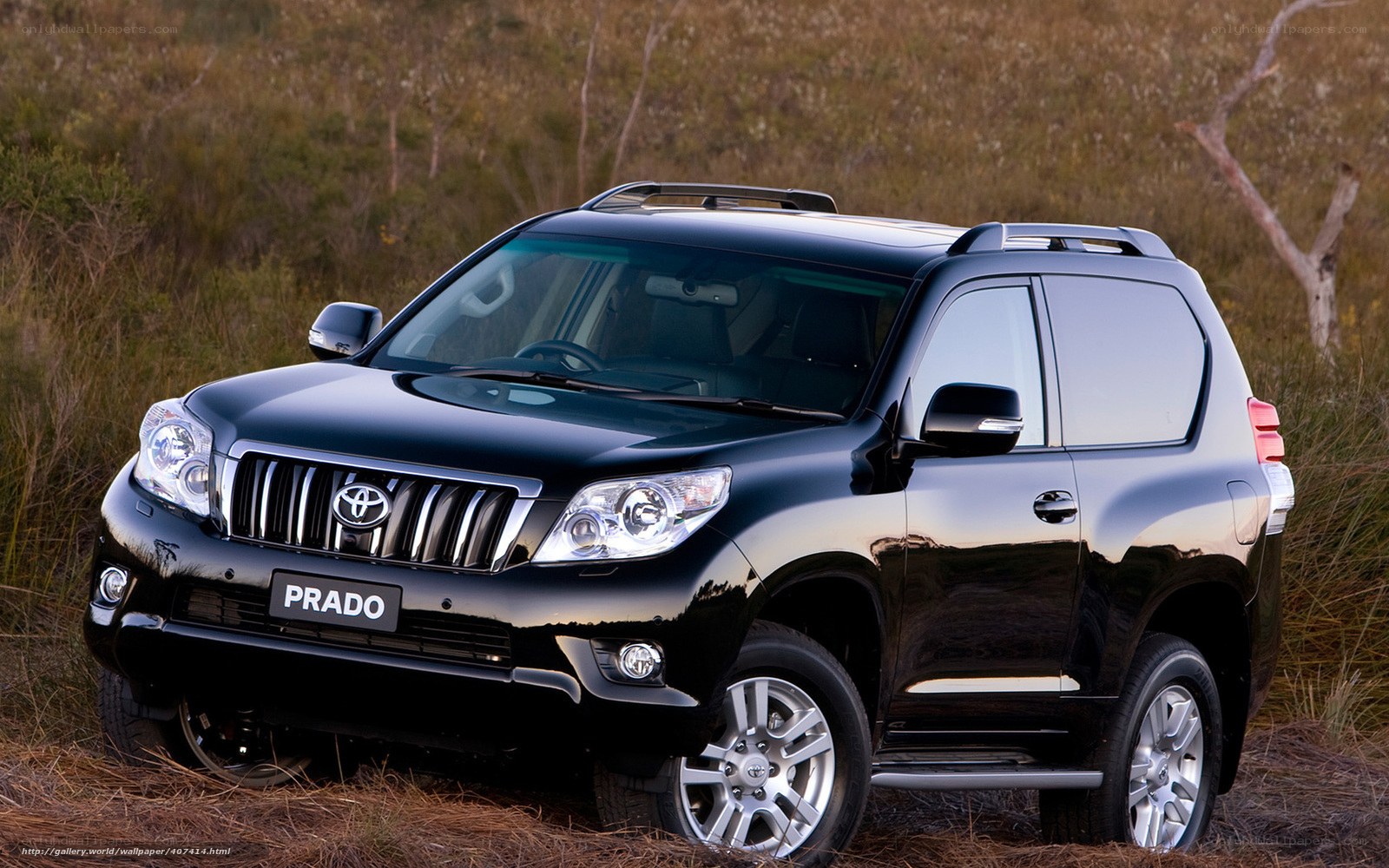 Black Toyota Prado SUV
