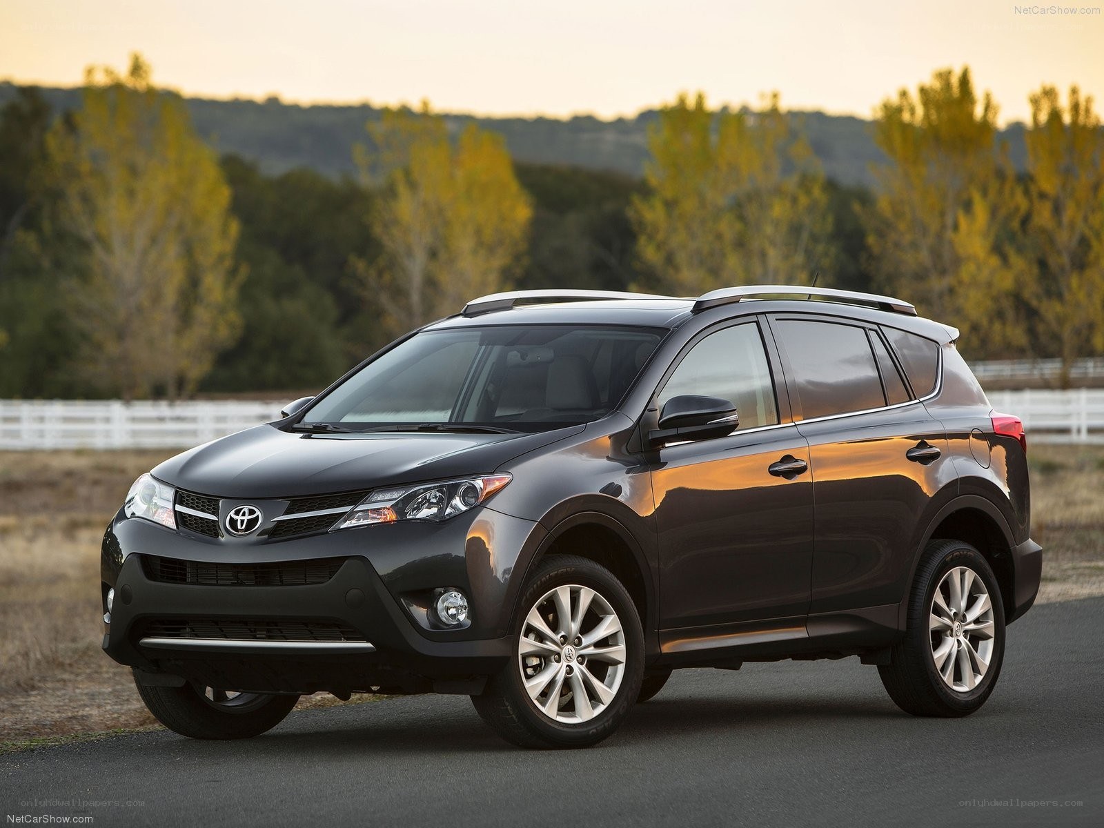 Black Toyota RAV4 on a road