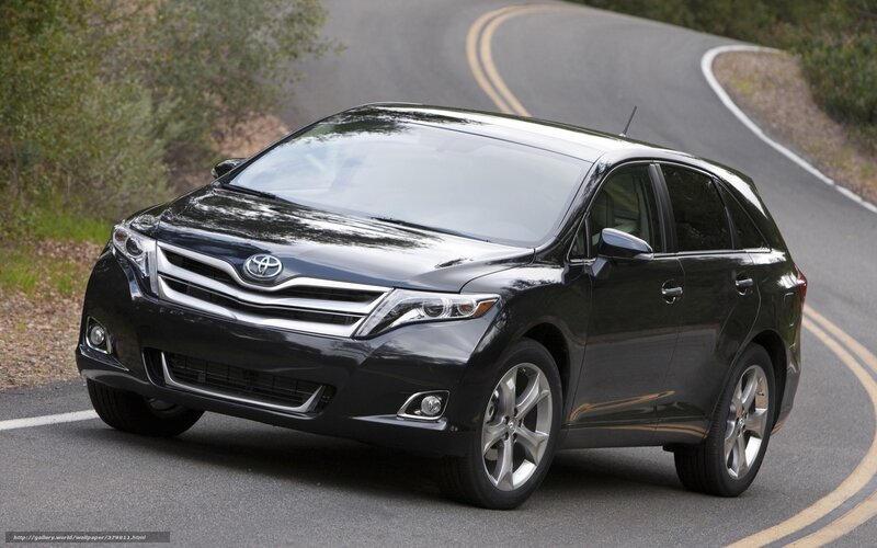 Black Toyota Venza — Calm, Afternoon