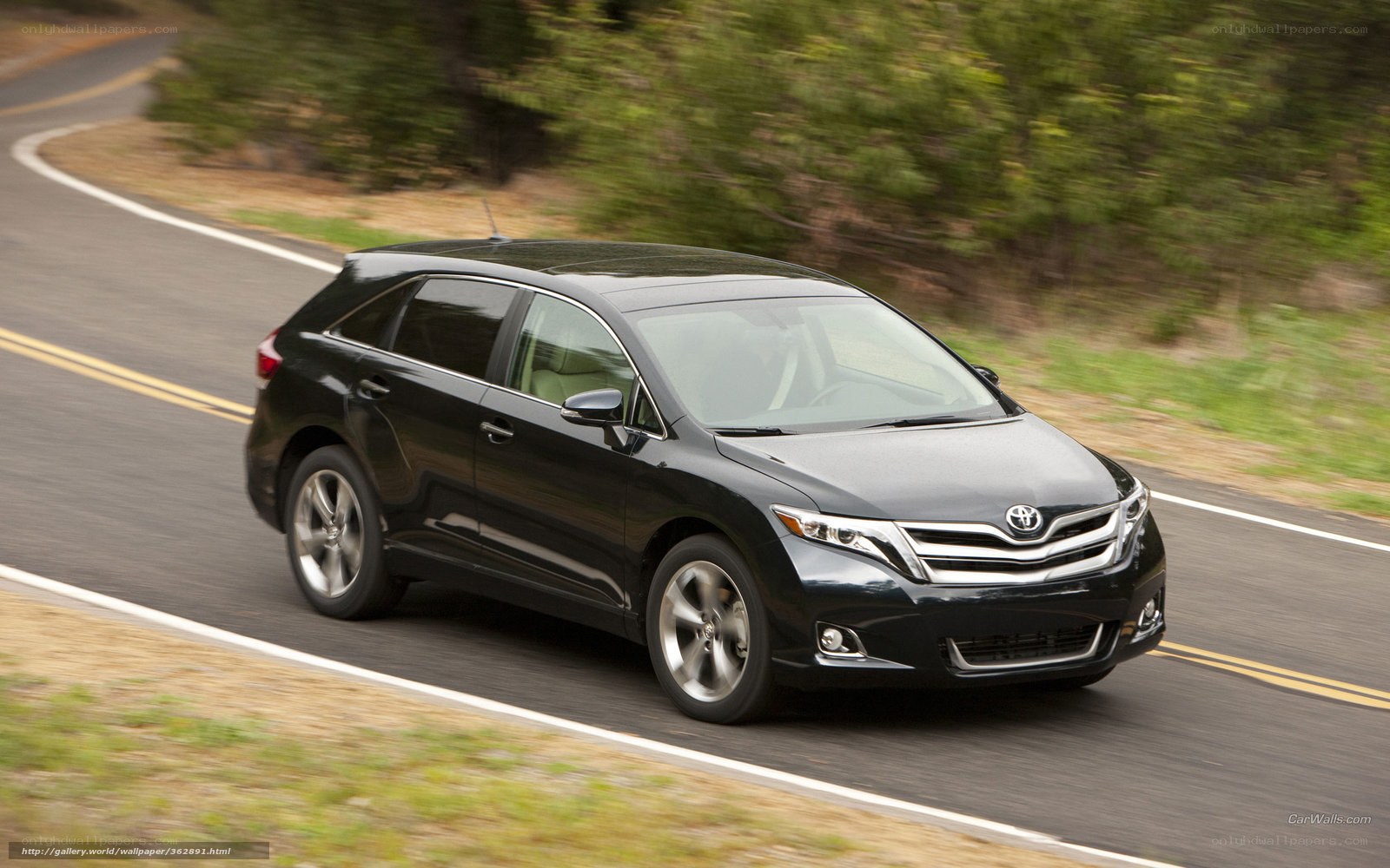 black toyota venza on road
