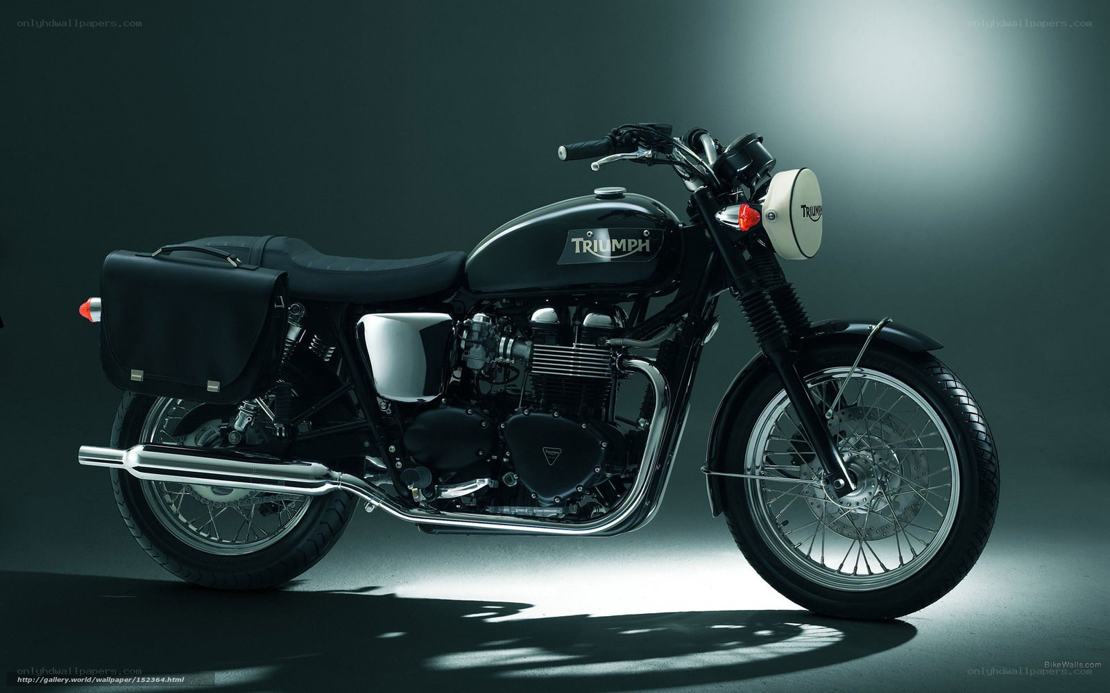 Black Triumph motorcycle