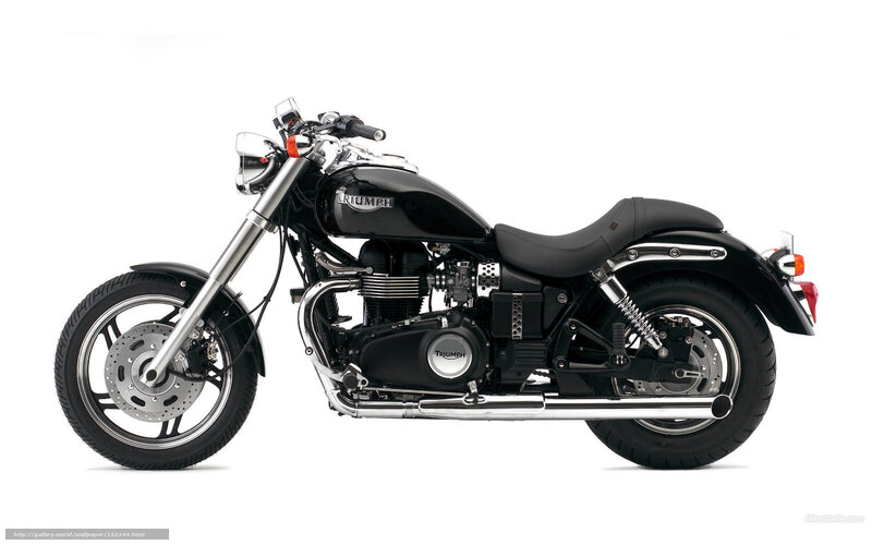 Black Triumph motorcycle