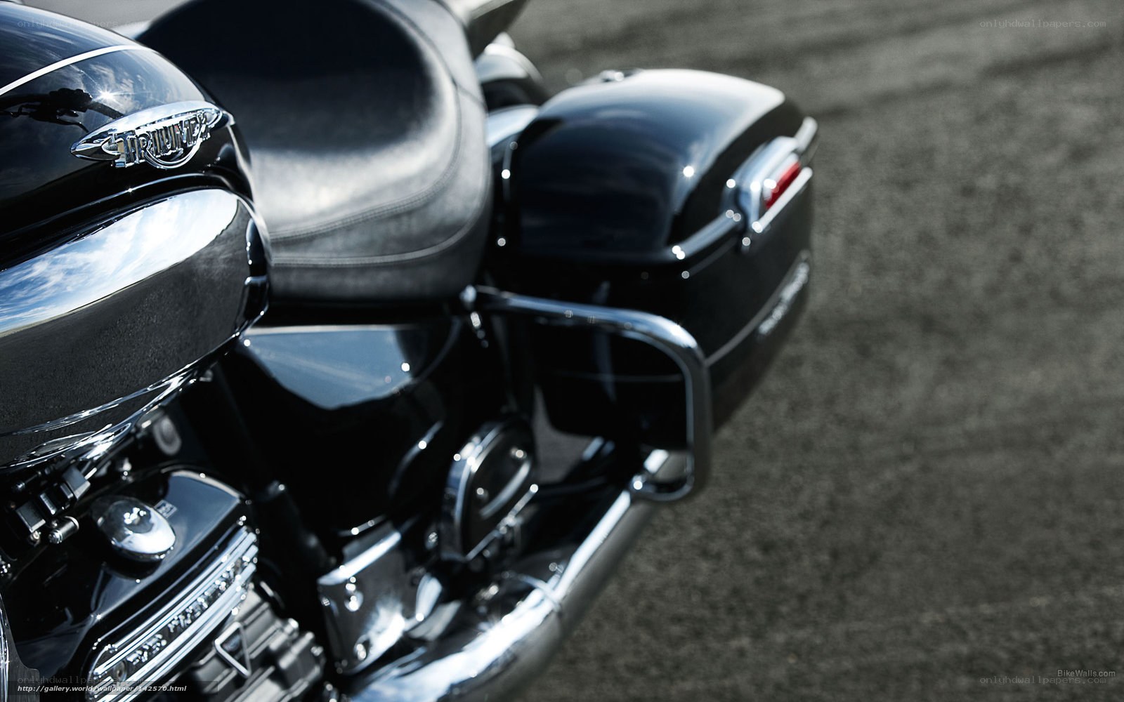 Black Triumph motorcycle details
