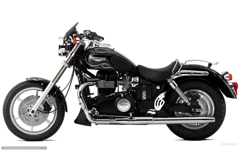 Black Triumph Motorcycle — Neutral, Photograph, Chrome, Seat