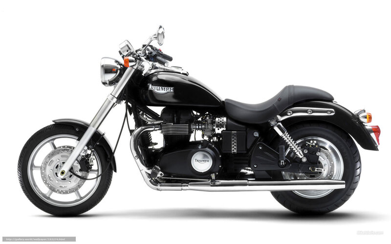 Black Triumph Motorcycle — Neutral, Photograph, Chrome