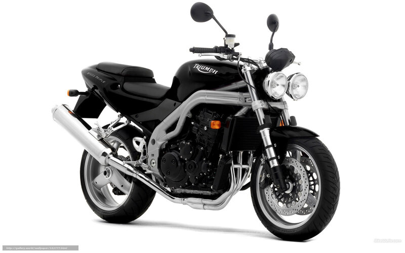 Black Triumph Motorcycle — Neutral, Photograph, Exhaust Pipe, Headlights, Seat