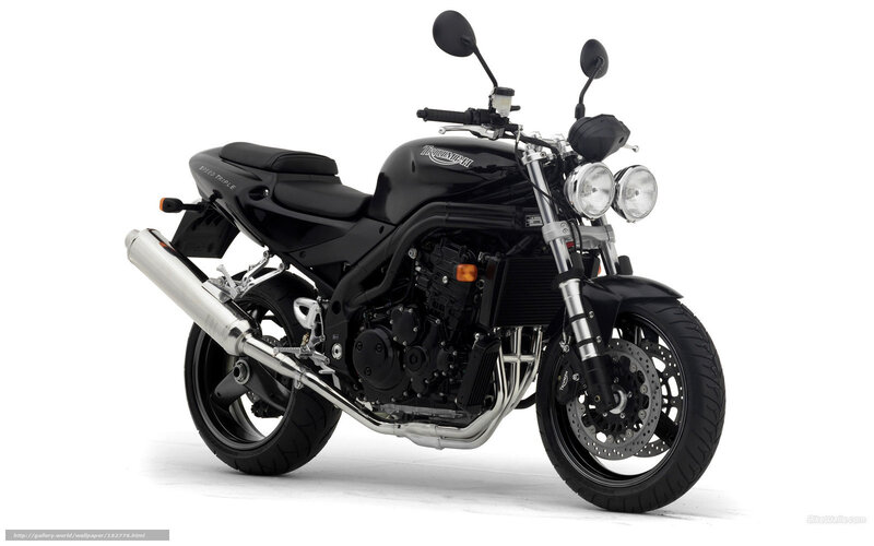 Black Triumph Motorcycle — Neutral, Photograph, Exhaust Pipe, Headlights