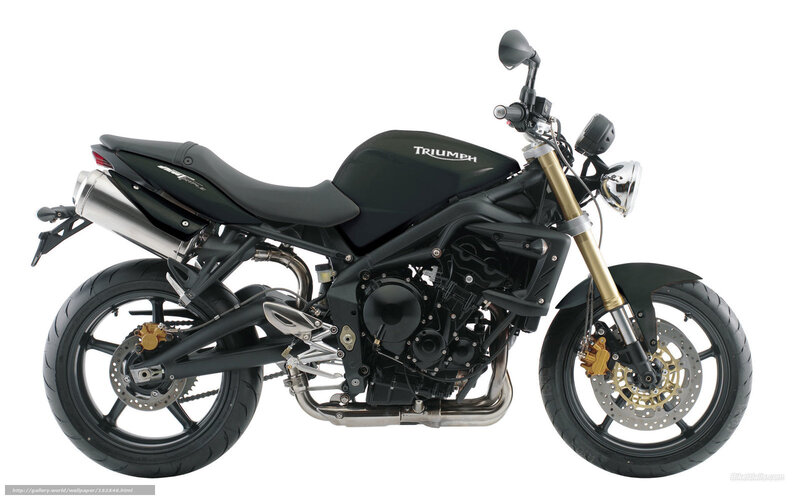 Black Triumph Motorcycle — Neutral, Photograph, Exhaust Pipe