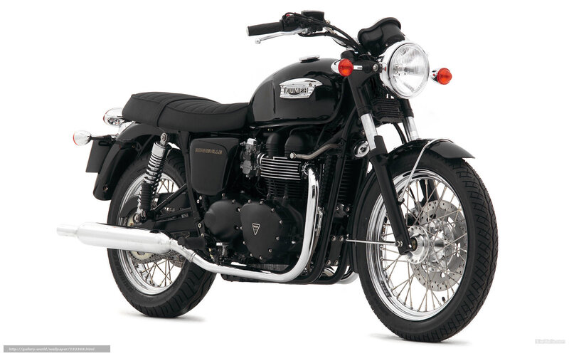 Black Triumph Motorcycle — Neutral, Photograph, Headlight, Exhaust Pipe