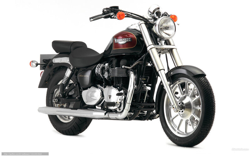 Black Triumph Motorcycle — Neutral, Photograph, Headlight, Seat