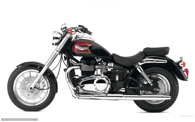 Black Triumph Motorcycle — Neutral, Photograph, Seat, Engine, Exhaust