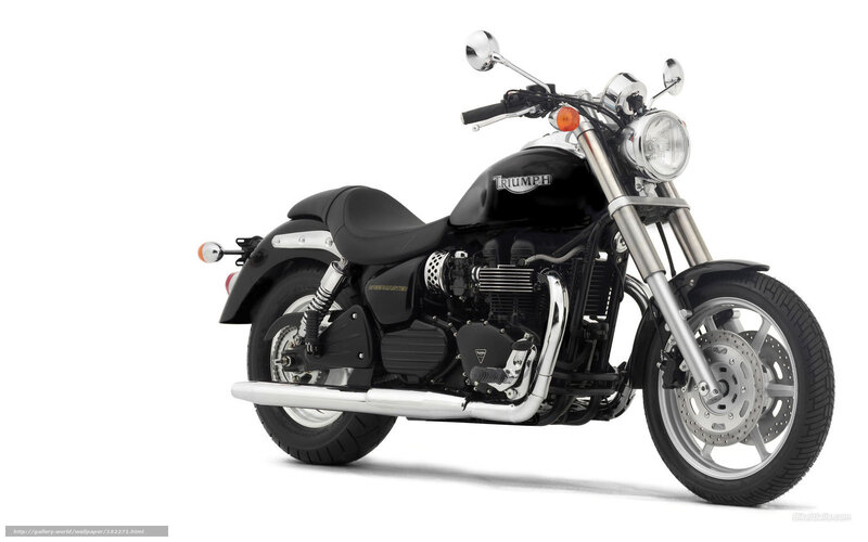 Black Triumph Motorcycle — Neutral, Photograph, Seat, Headlight