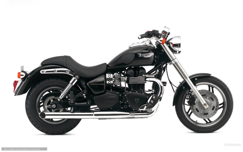 Black Triumph Motorcycle — Neutral, Photograph, Seat