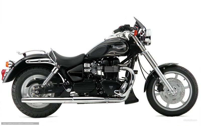 Black Triumph Motorcycle — Neutral, Photograph